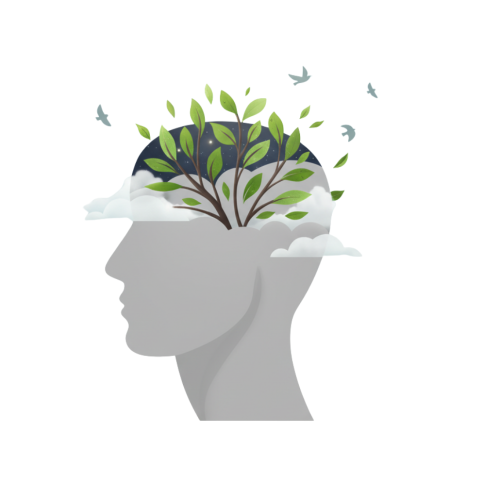 Imagen Home. Talleres